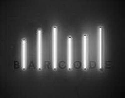 Қозоғистонда Конституция референдуми бўлиб ўтди