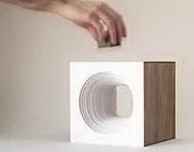 Референдумда кімдер дауыс берді?