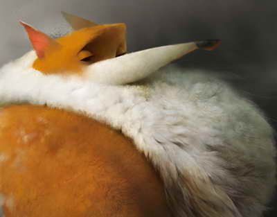 Qozog'istonda Konstitutsiya referendumi bo'lib o'tdi