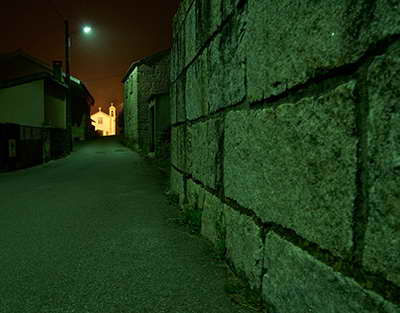 Çin səhranı dayandırmaq üçün kütləvi ağaclar əkdi, amma ciddi problemlə qarşılaşdı